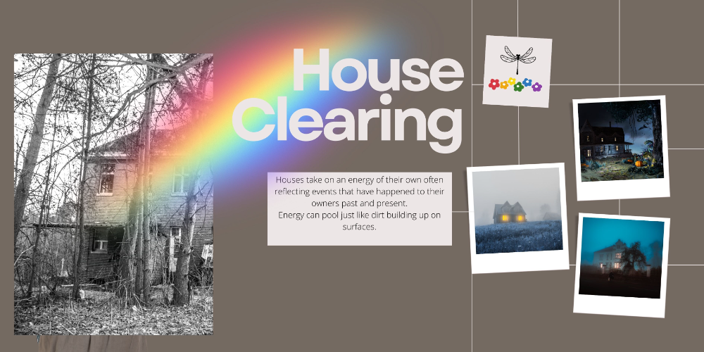 House Clearing-576